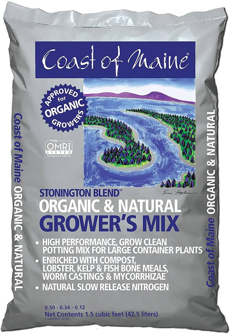 The Best Potting Mix For Container Plants