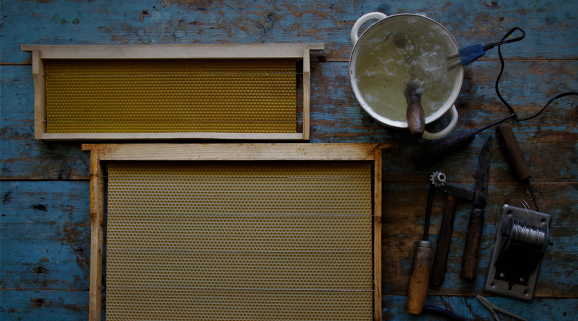 How To Start Beekeeping From Scratch in Your Backyard
