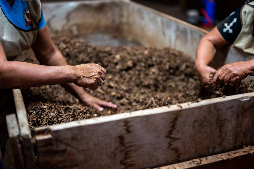 7 Ways To Revive Old Compost