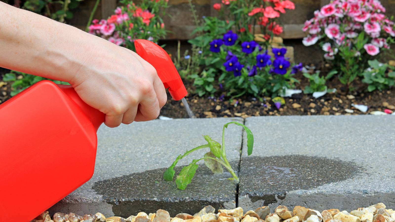 Does Rubbing Alcohol Kill Weeds?