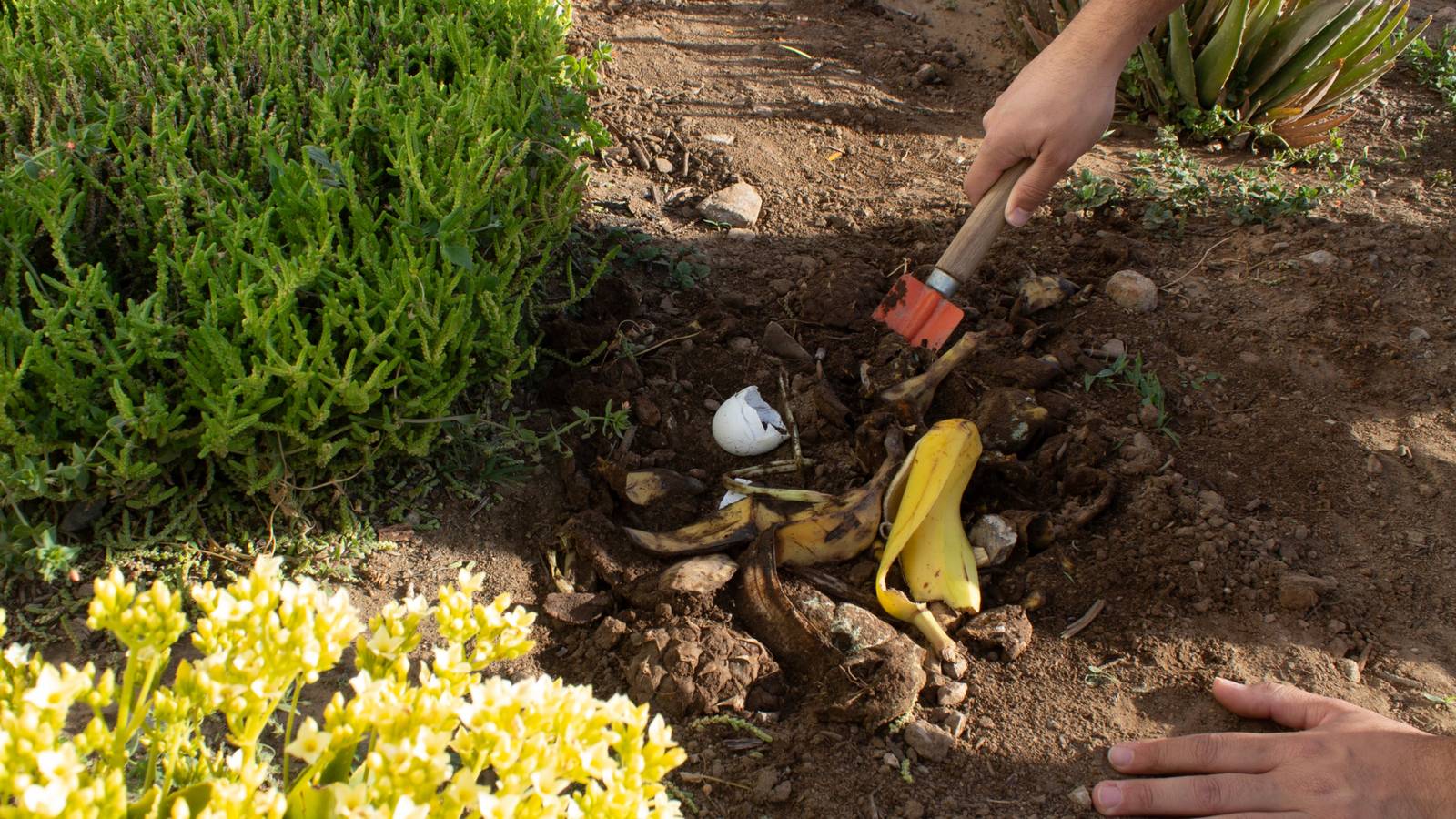 How Much Compost Do You Add To Your Garden?