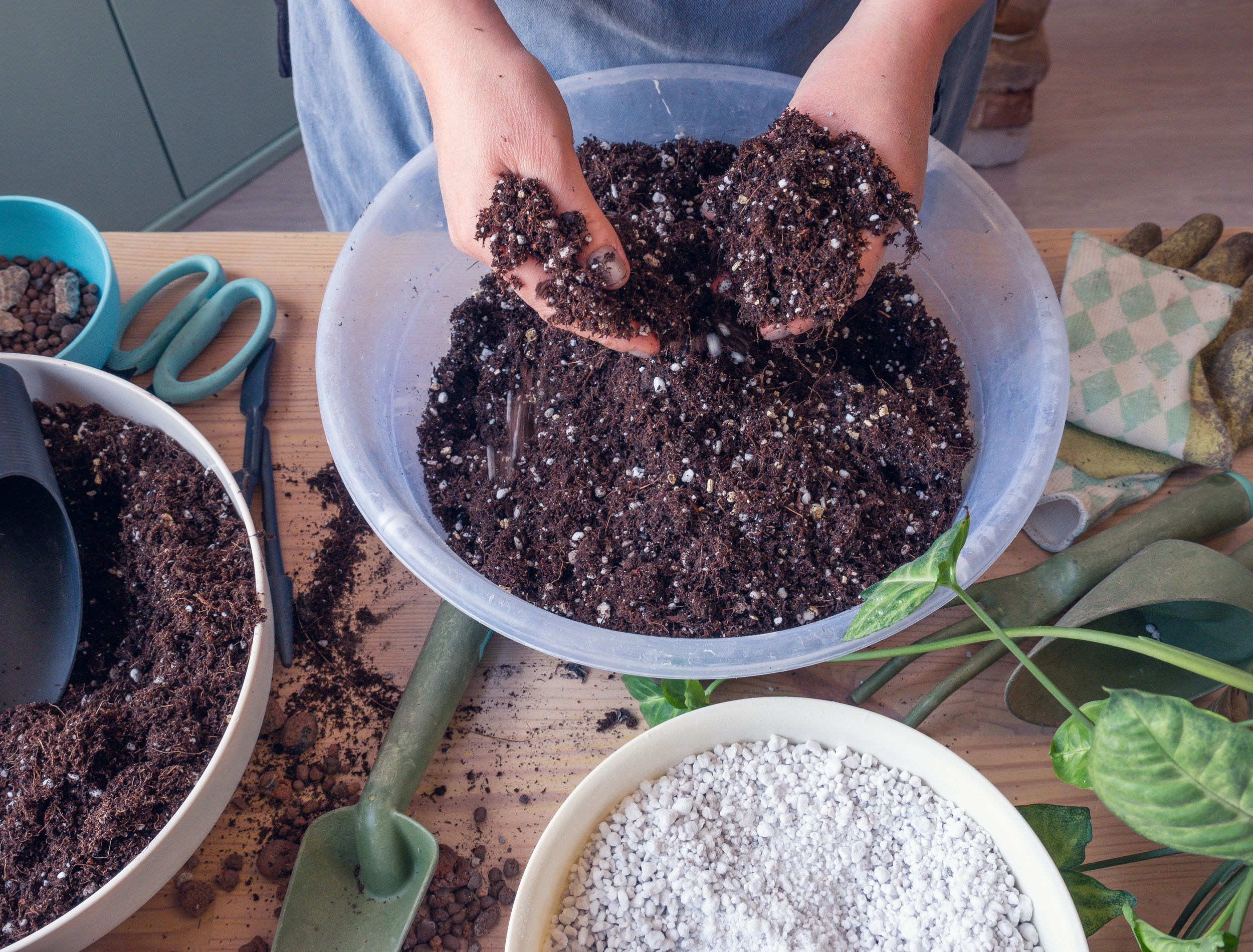 The Best Potting Mix For Container Plants