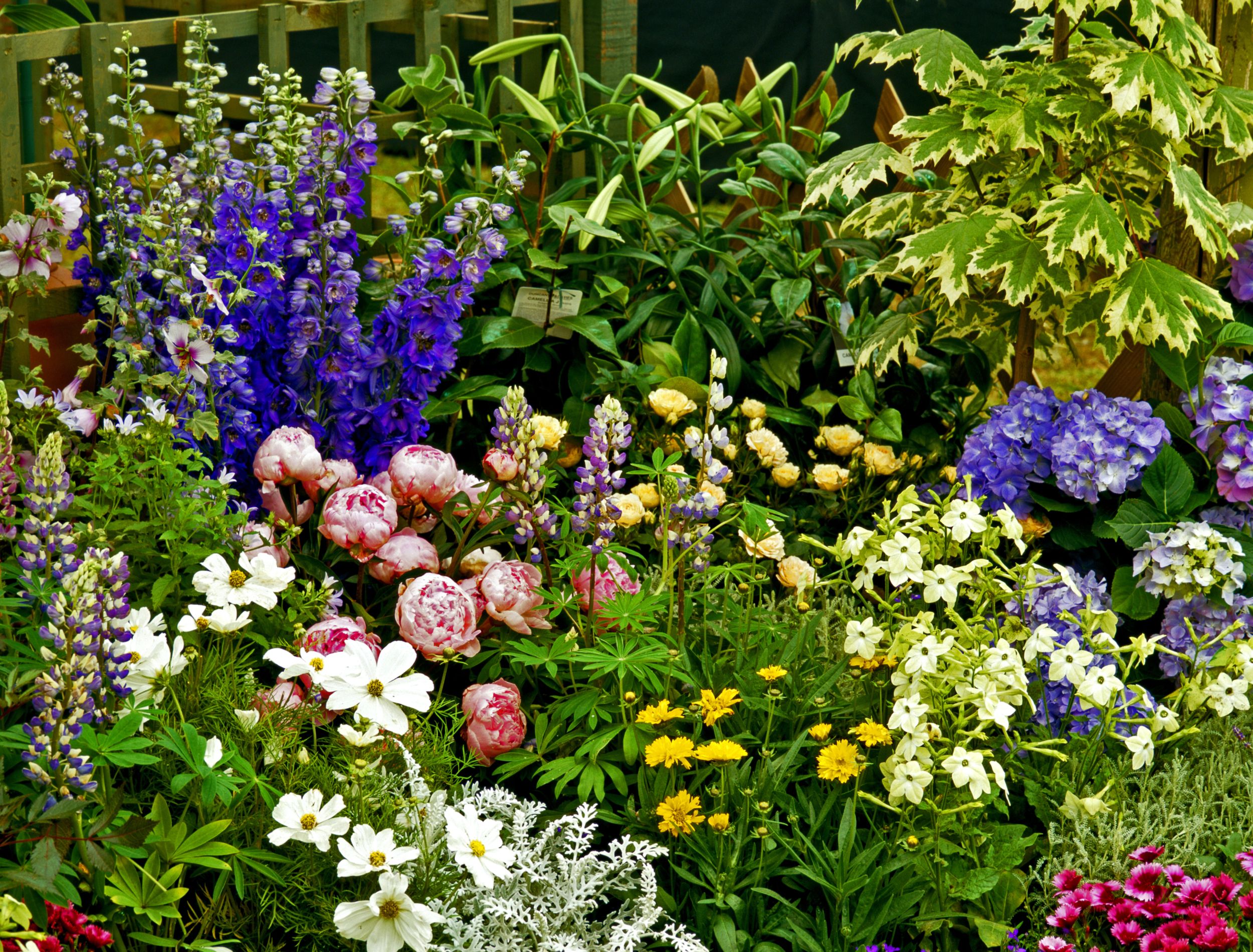garden design | Perennial Pastimes, image size:2500x1900