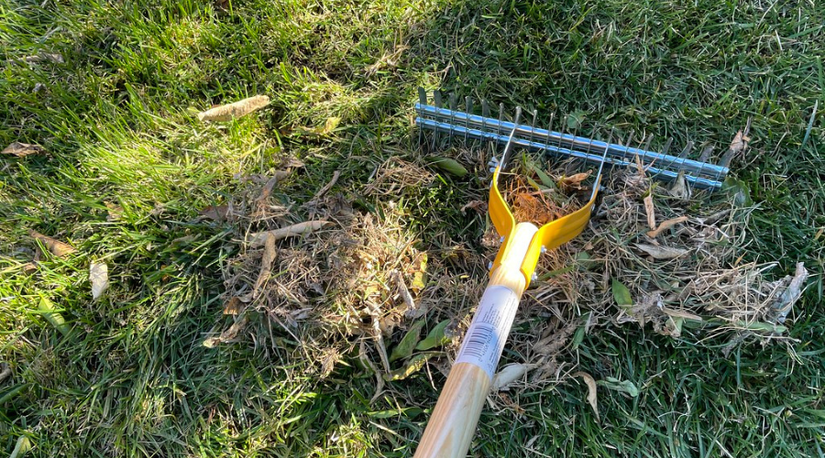 How to Dethatch Your Lawn