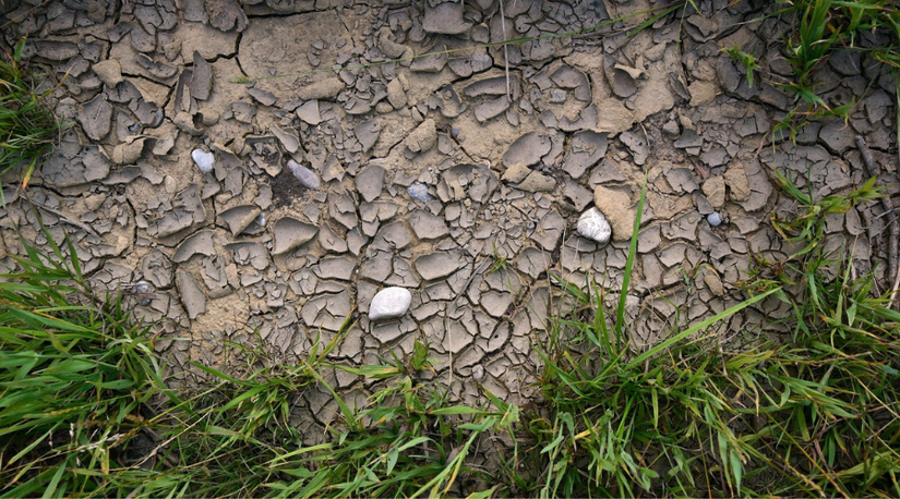 How To Care For Your Lawn In a Drought