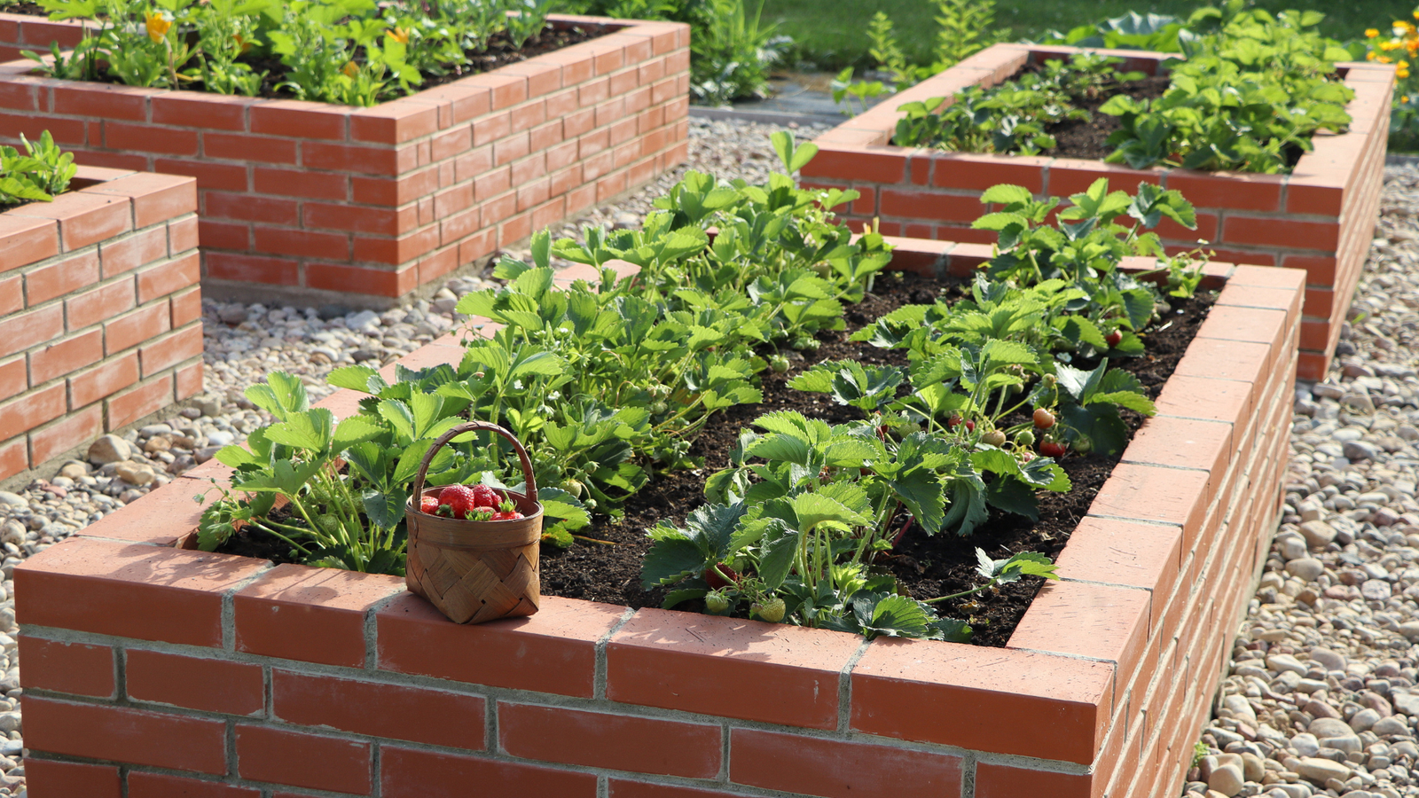 Brick Raised Garden Ideas You Need To See