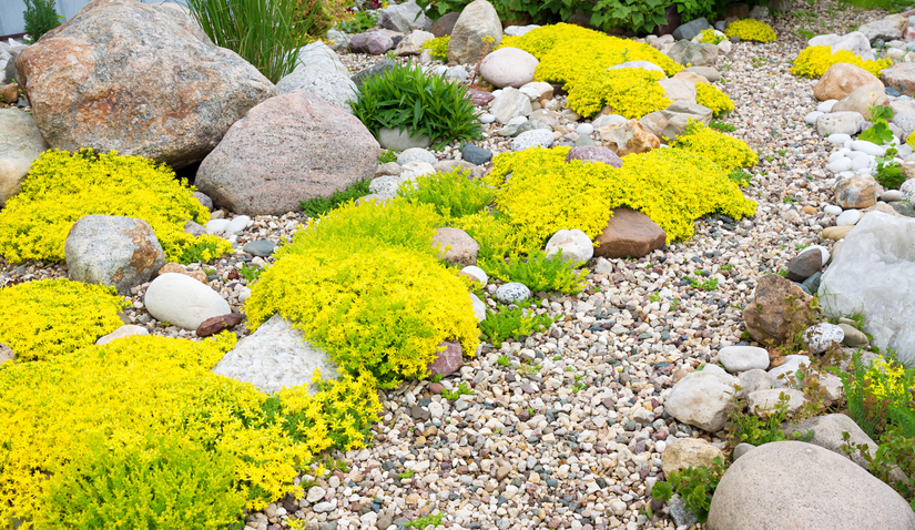 7 Tips for Choosing the Best Landscaping Rocks