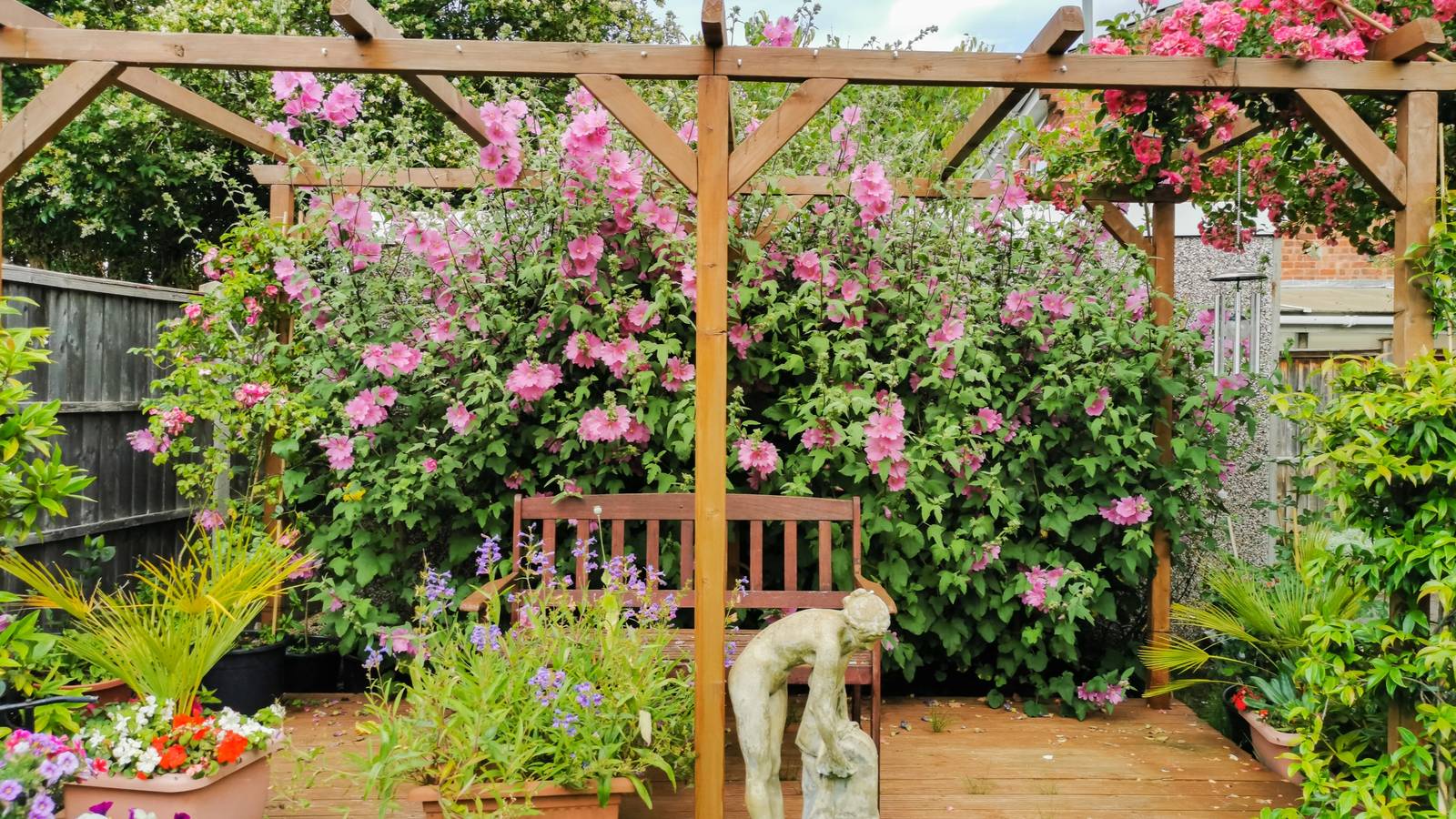 9 Fast-Growing Climbing Plants To Add To Your Outdoor Space