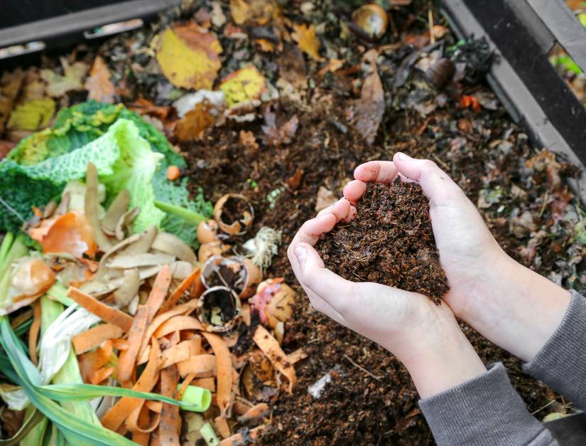 When and How To Add Compost To Perennial Garden Beds