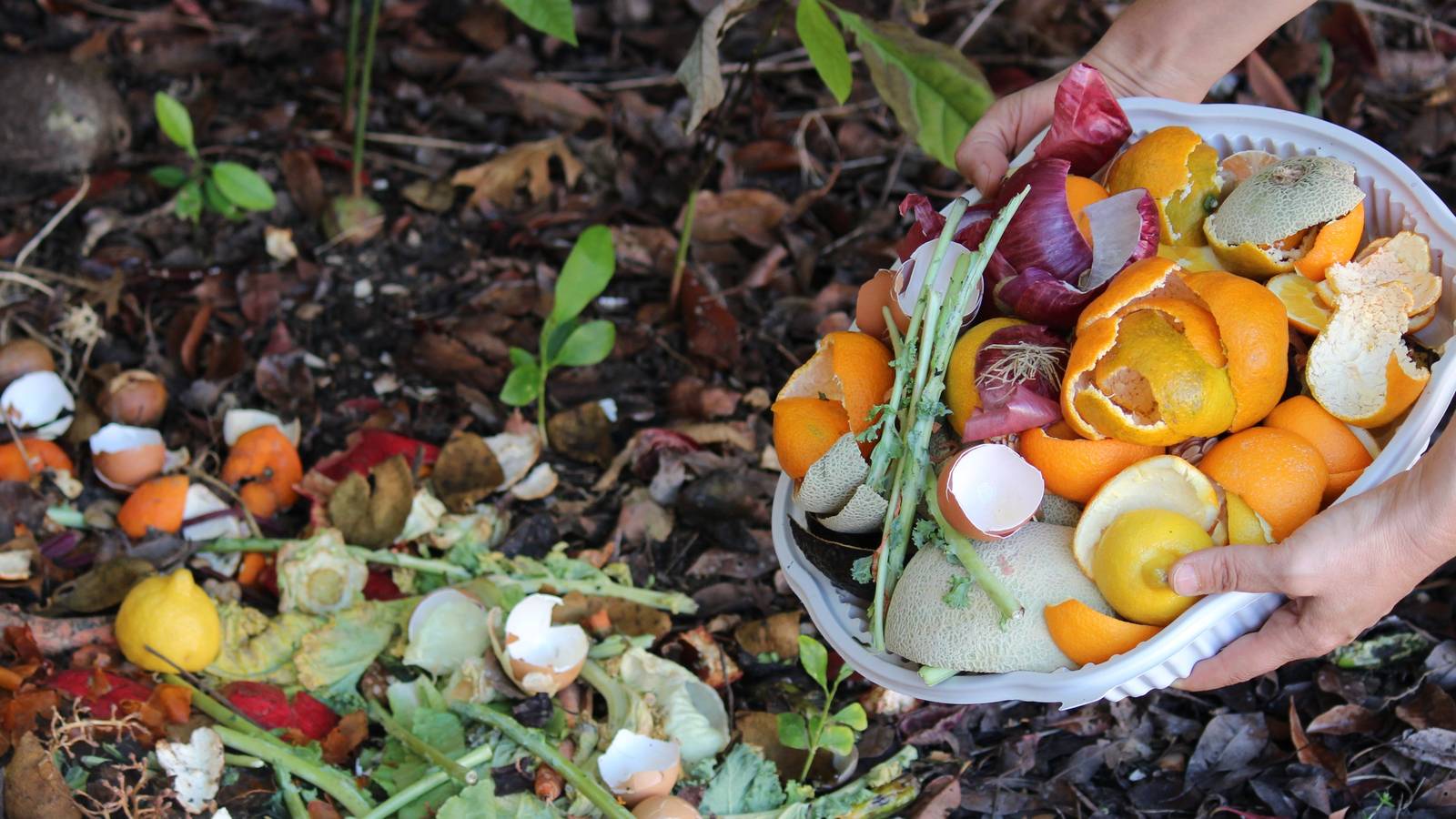 The Best Time to Add Compost to Your Garden