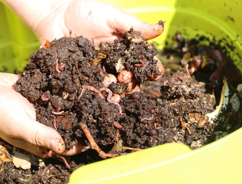 5 Composting Mistakes You May Be Making