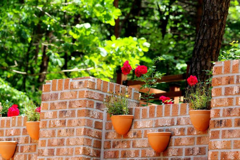 Potted plants on a brick wall