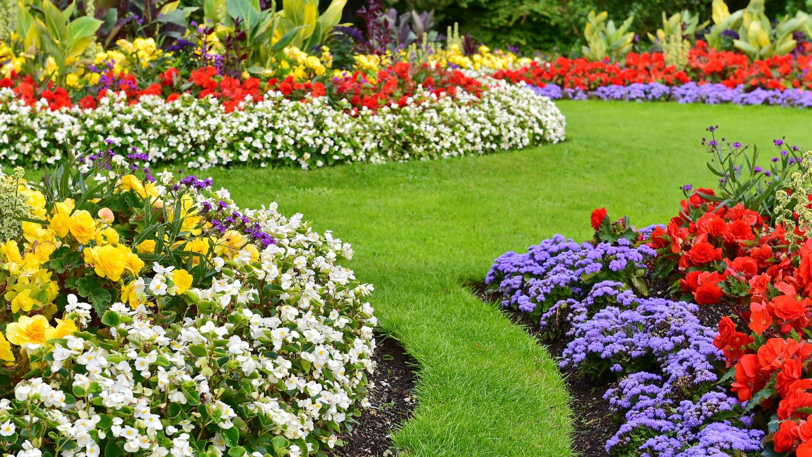 Add These 10 Hardy Perennials to Your Garden for a Pop of Color