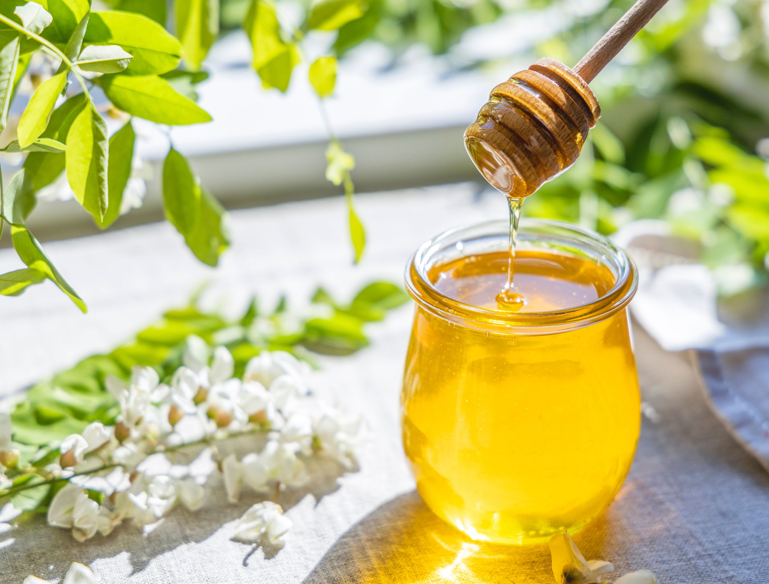 5 Reasons to Use Honey in Your Garden Today