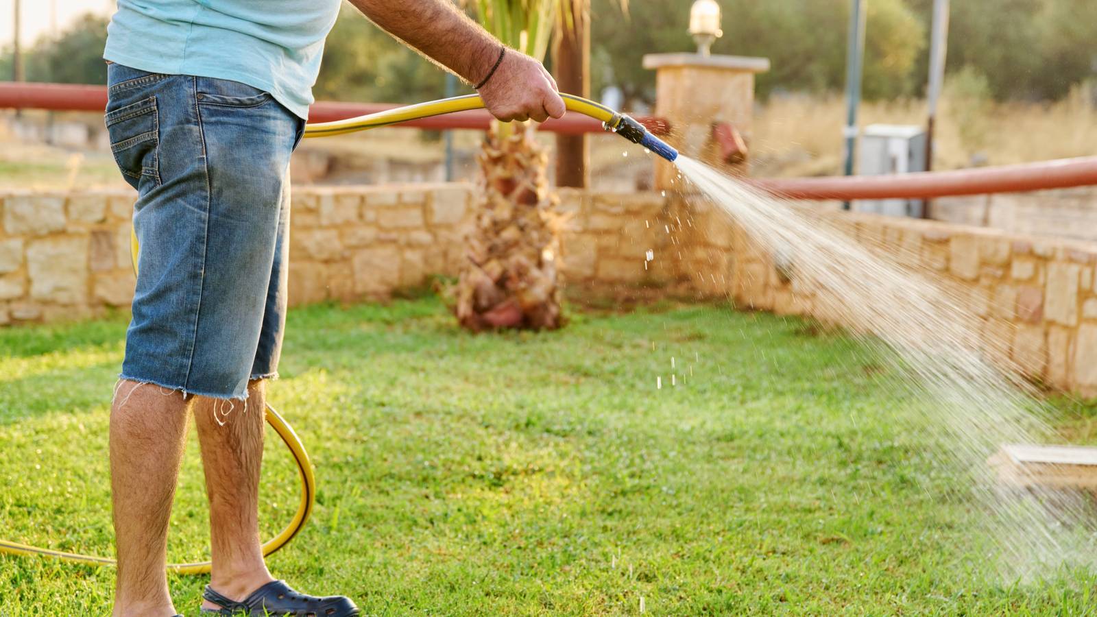 How To Care For Your Lawn In a Drought