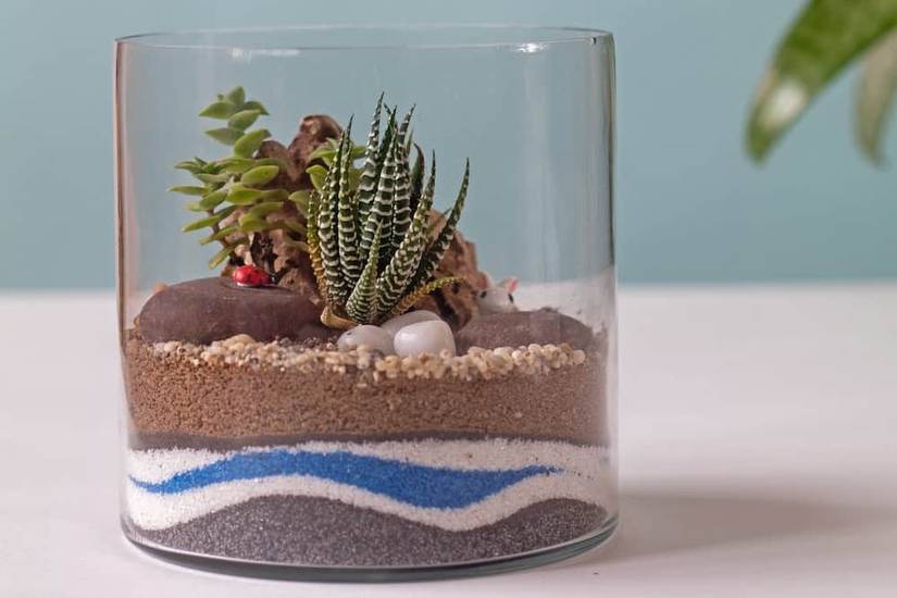 How To Make Homemade Succulent Soil