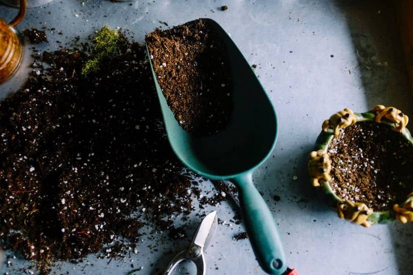 How To Make Homemade Succulent Soil