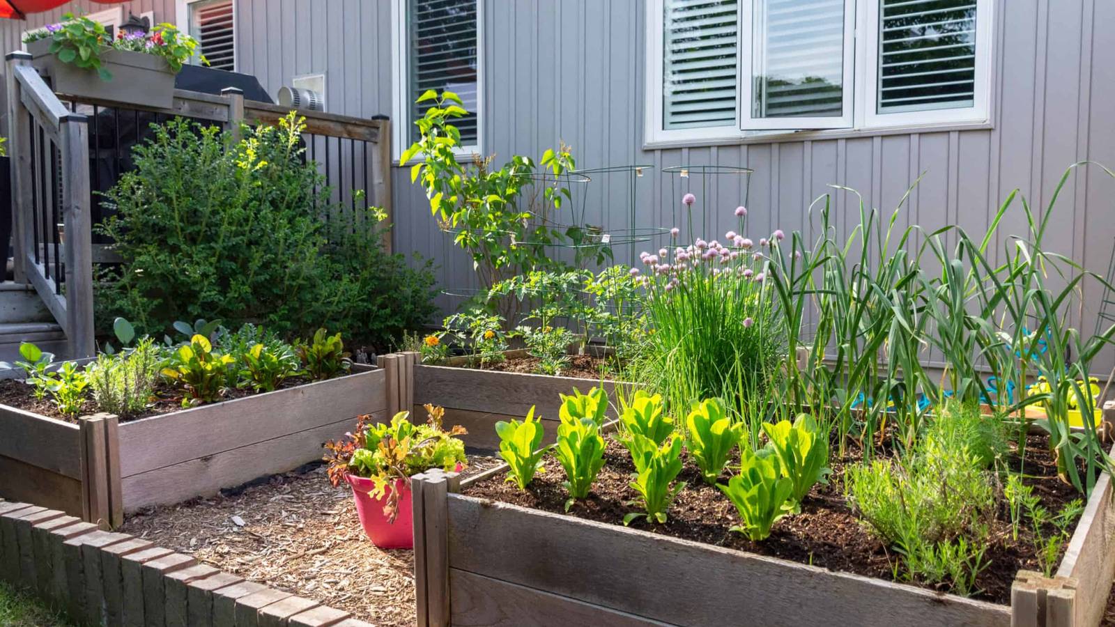 6 Tips For Growing Veggies in Small Spaces