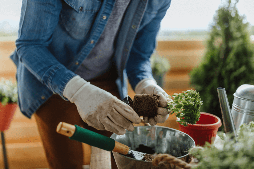 How to Use Compost in Your Garden