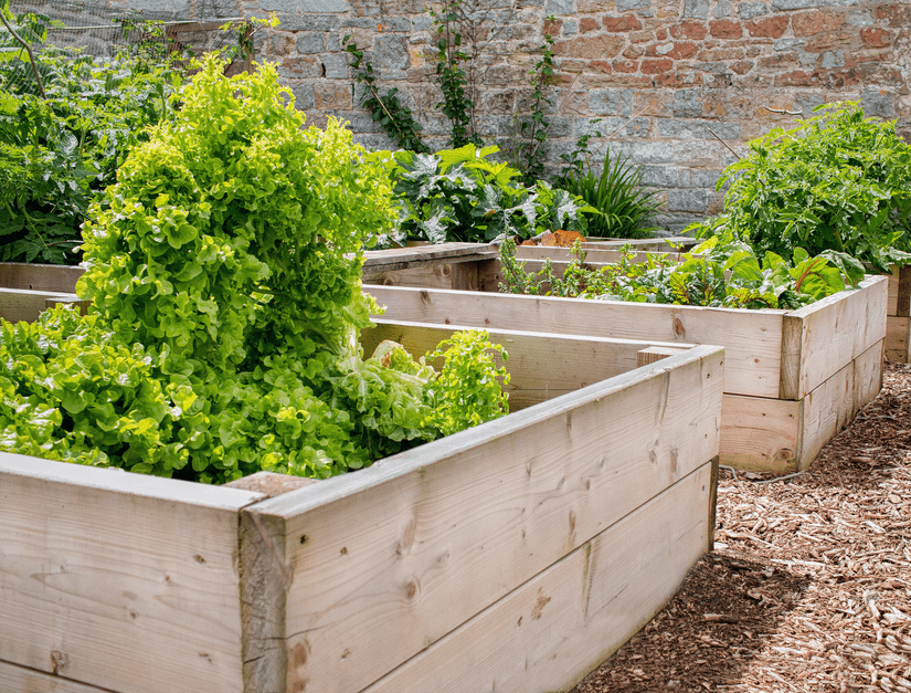 What Soil is Best For Raised Garden Beds?