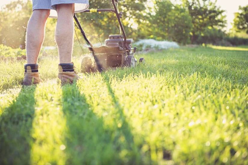 What's The Best Time of Day to Mow Your Lawn?