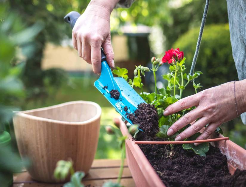 When and How To Add Compost To Perennial Garden Beds