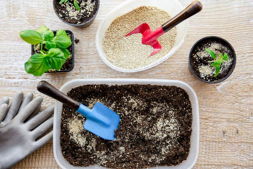 How To Make Homemade Succulent Soil
