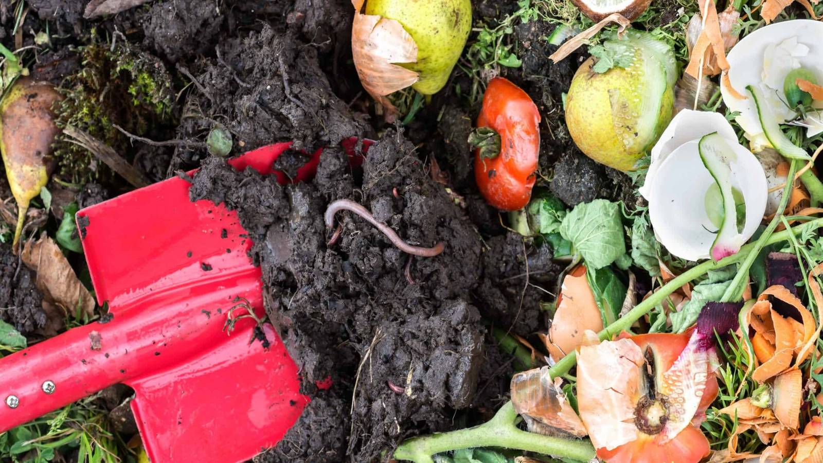 How To Harvest Compost