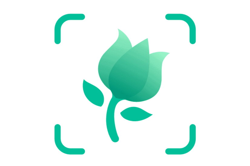 6 Plant Care Apps To Help You Nurture Your Garden