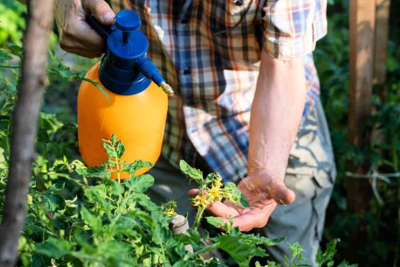 How to Get Rid of Root Rot With Household Items