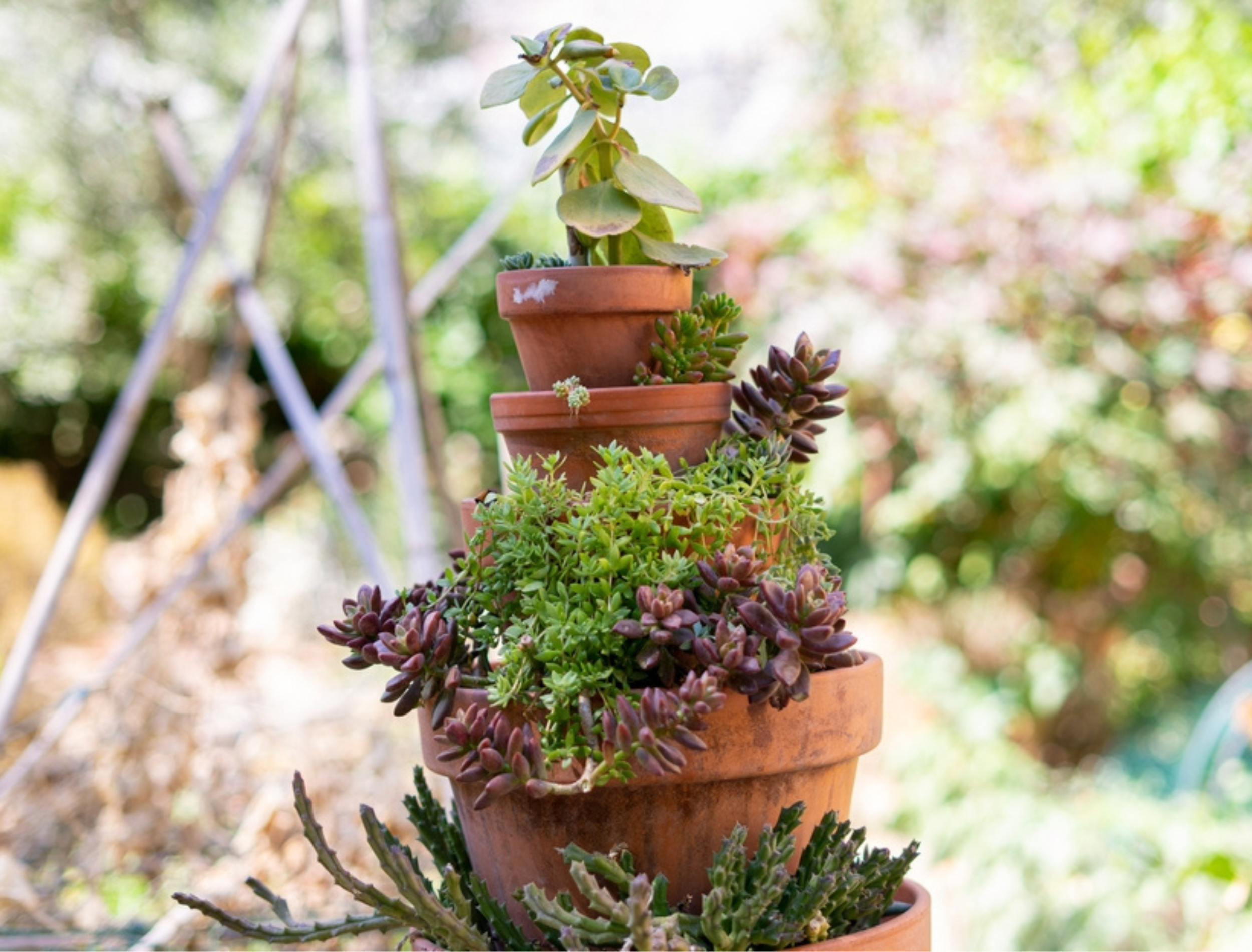 hanging plants real Nearly Natural 51in. Wandering Jew Artificial Plant in Hanging Basket (Real Touch)