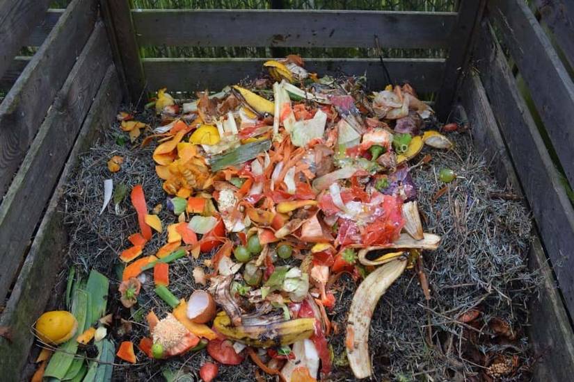 The Best Time to Add Compost to Your Garden