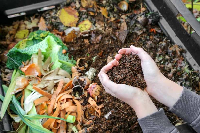 7 Thrifty Ways To Reuse Potting Soil