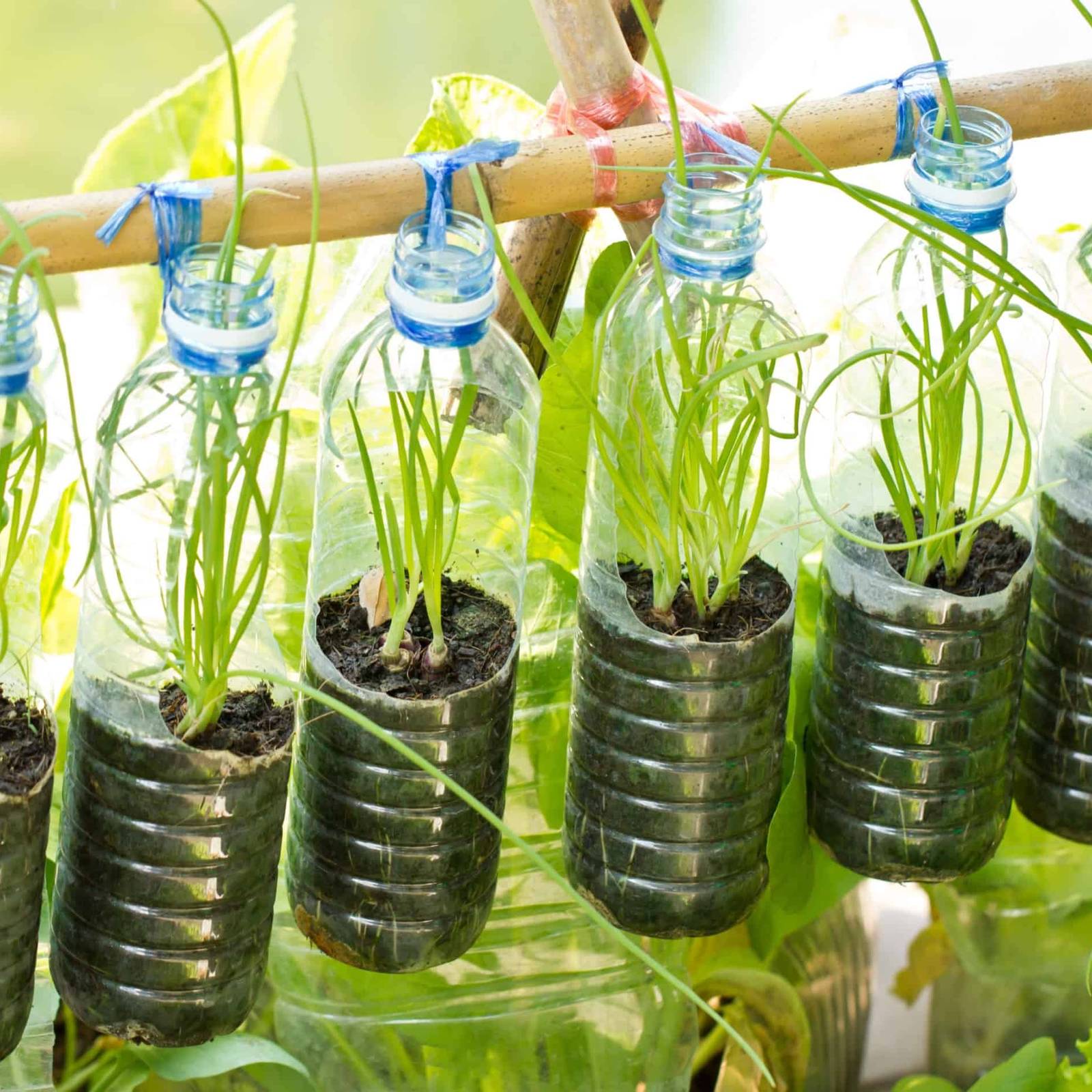 grow led lights for indoor plants Hanging Grow Light String(US/EU ONLY) EU 220V