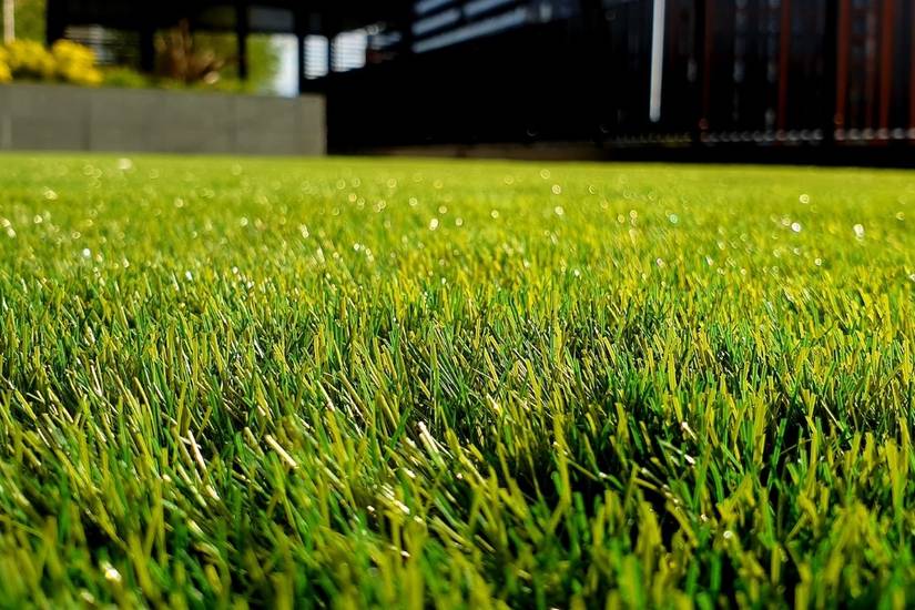 7 Tips for a Healthy Lawn