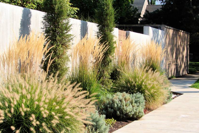 5 Property Line Landscaping Ideas