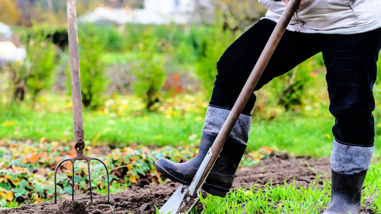 7 Tips For Planting A Fall Vegetable Garden