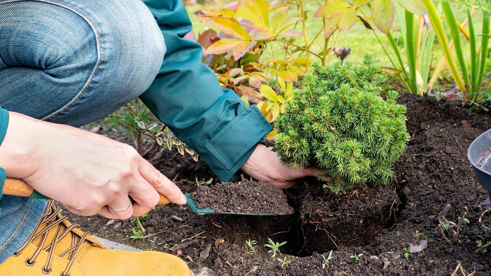 5 Reasons Why Fall Is The Perfect Time To Plant In Your Garden