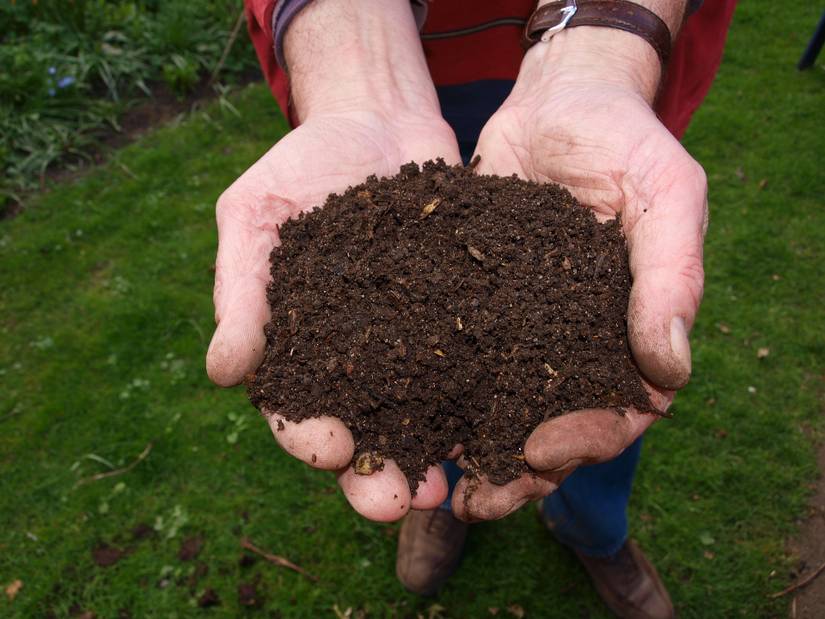 When and How To Add Compost To Perennial Garden Beds