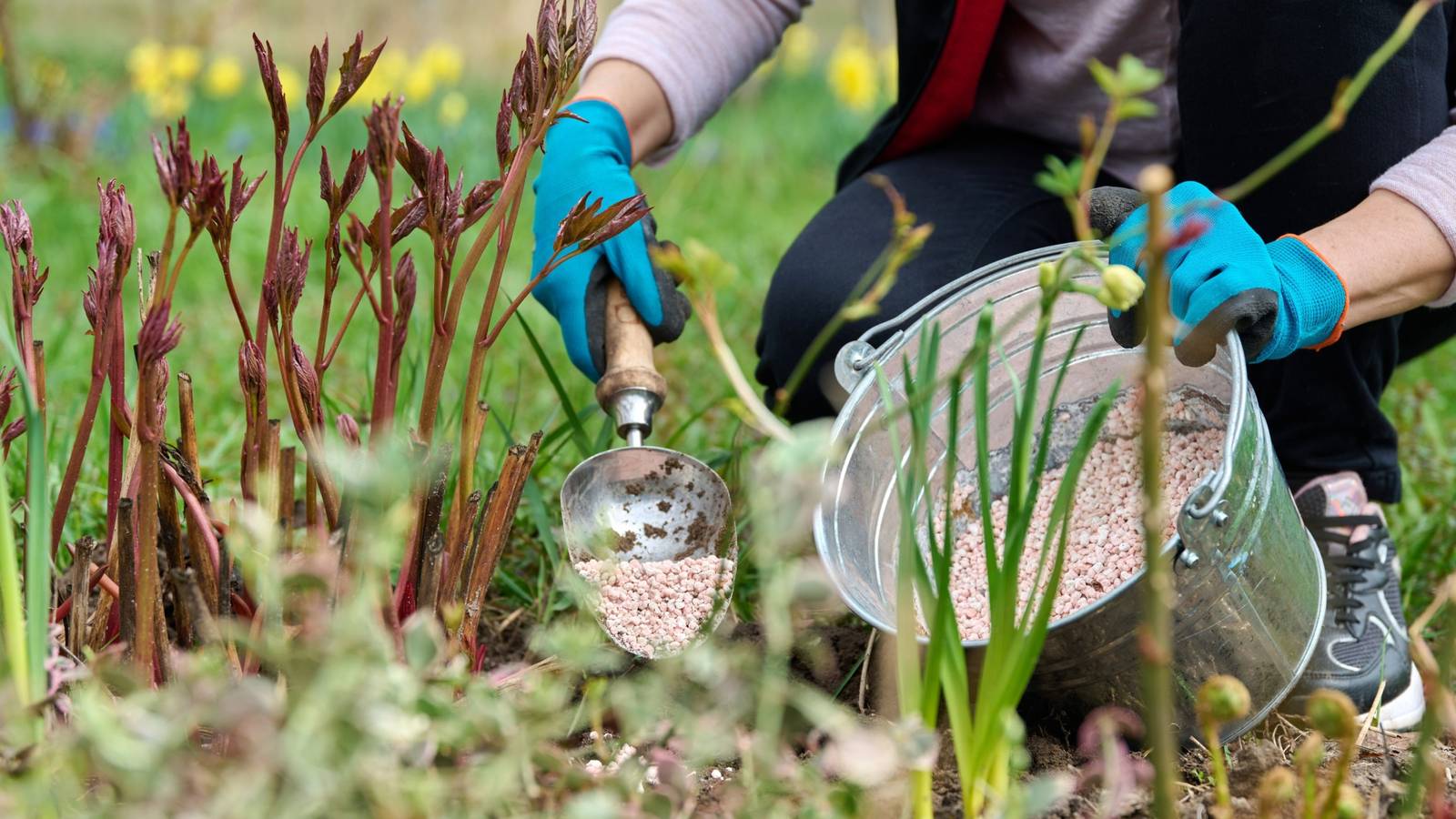 Why Putting Off Your Final Pruning and Fertilizing Is A Bad Idea