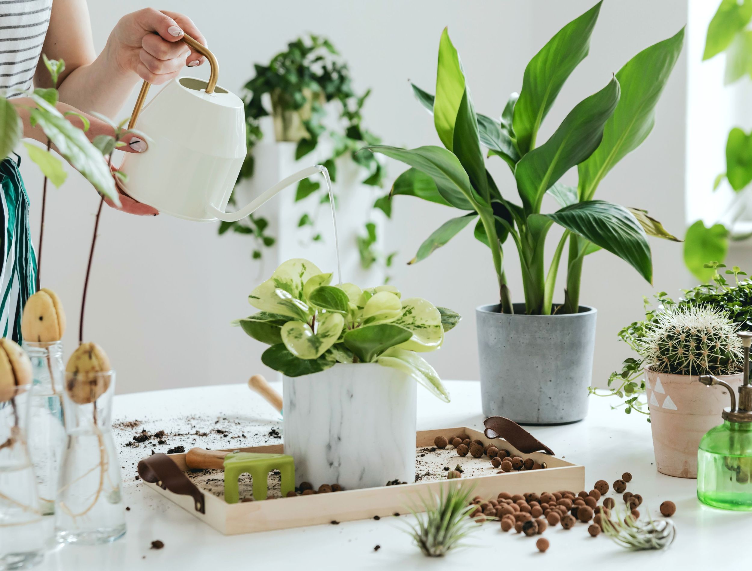 tall indoor plant pots 20