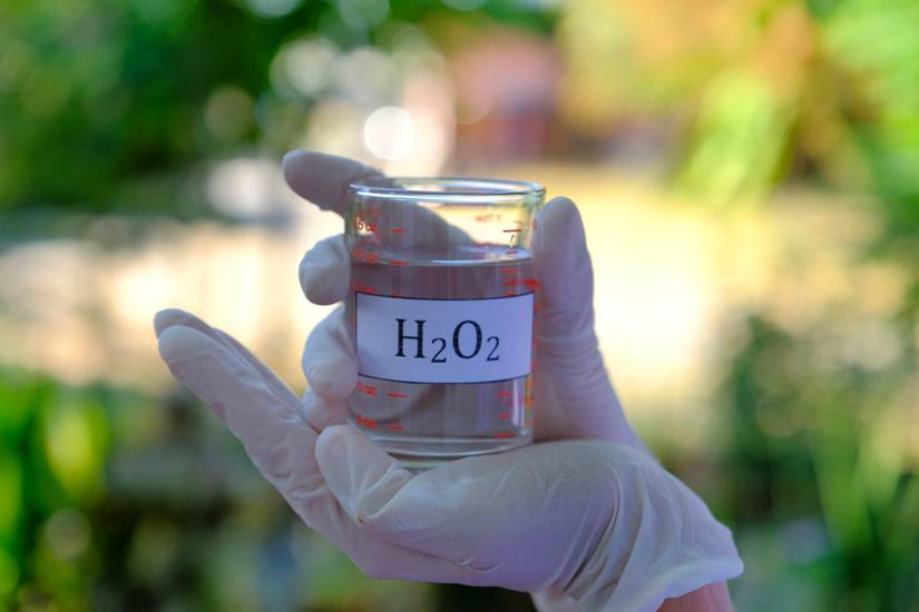 How to Revive Your Dying Plant With Hydrogen Peroxide