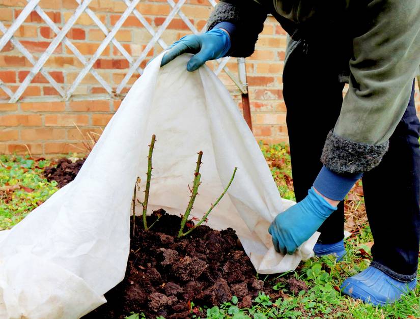 6 Ways To Prepare Your Garden For Winter