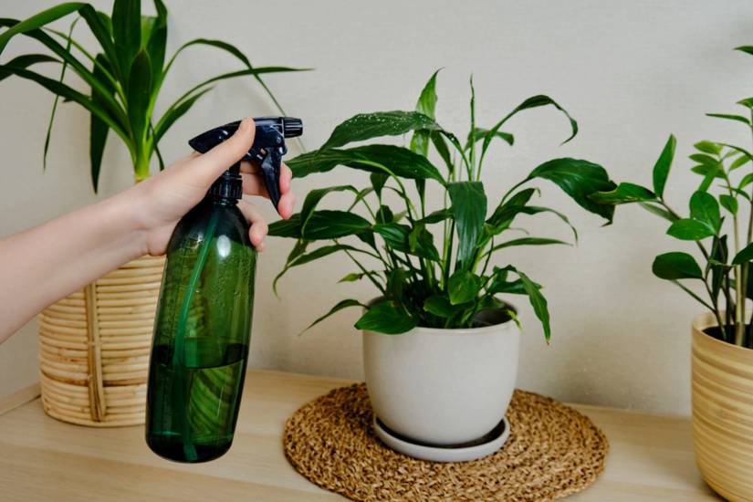 auto plant watering system GroBucket Self-Watering Insert (3 Pack) – grotech-garden-products