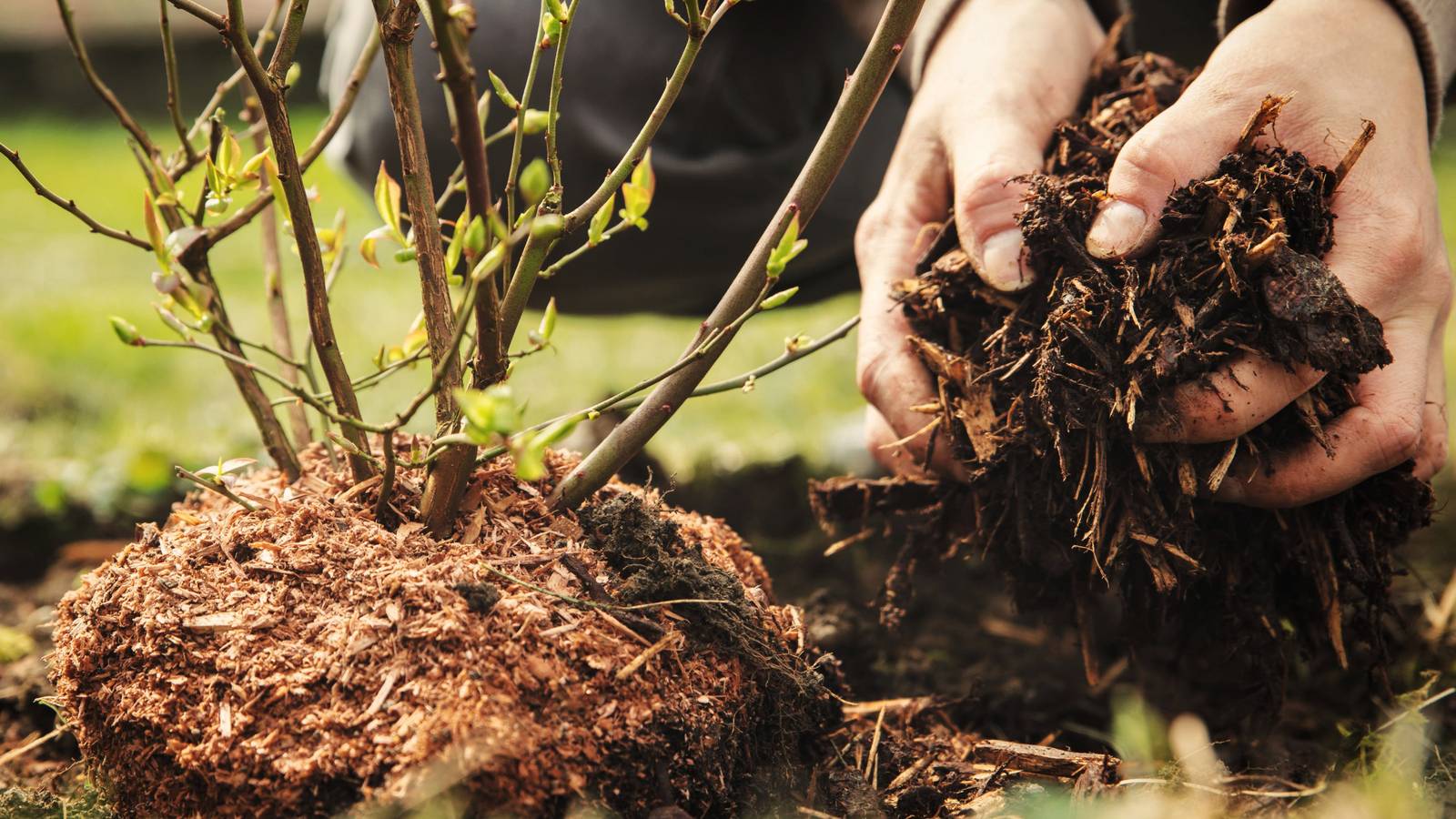 grow bags for plants Gardener's Best Potato Grow Bag