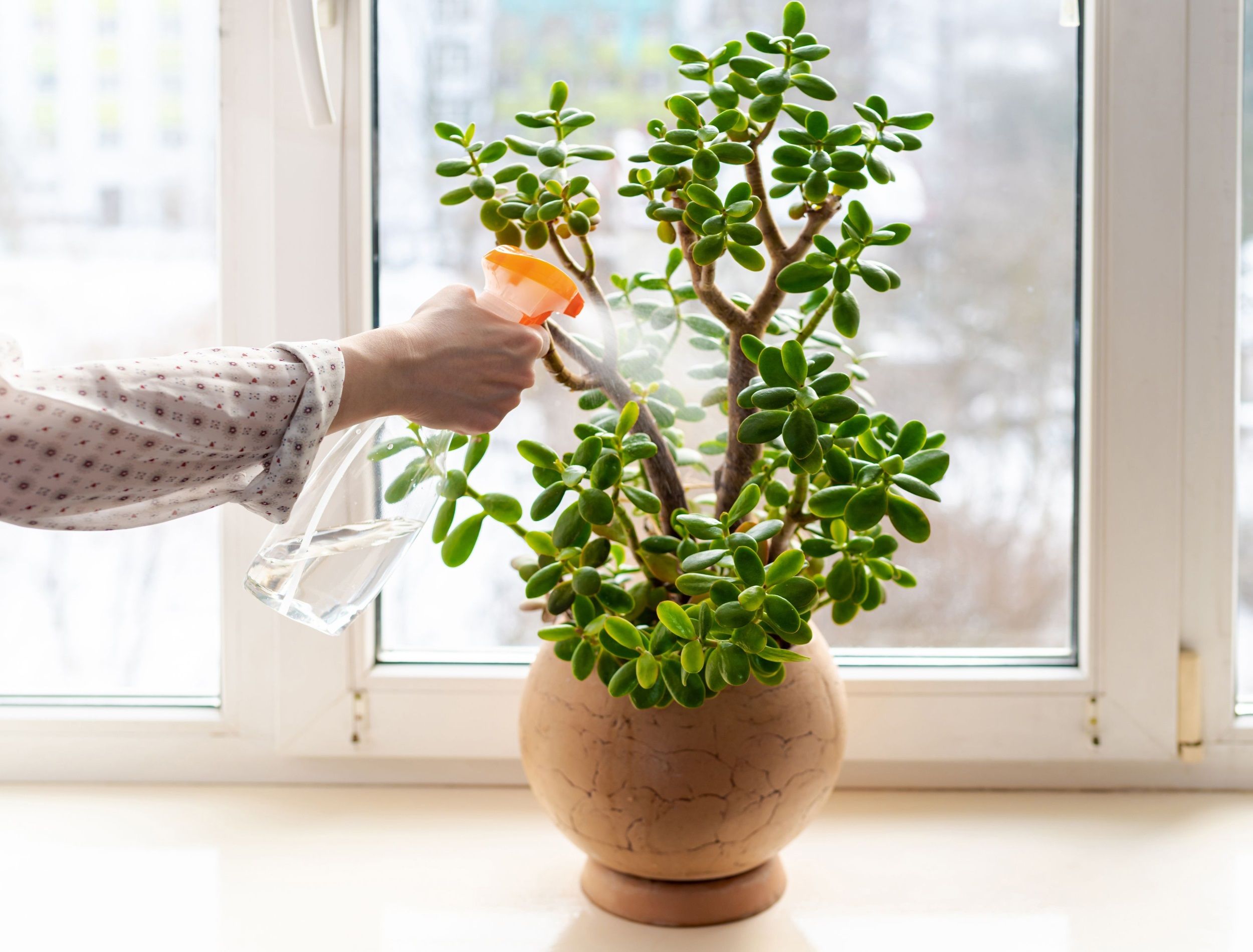 Design Ideas and Everyday Uses