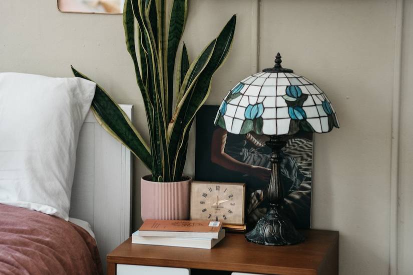 5 Reasons to Add a Snake Plant to Your Bedroom