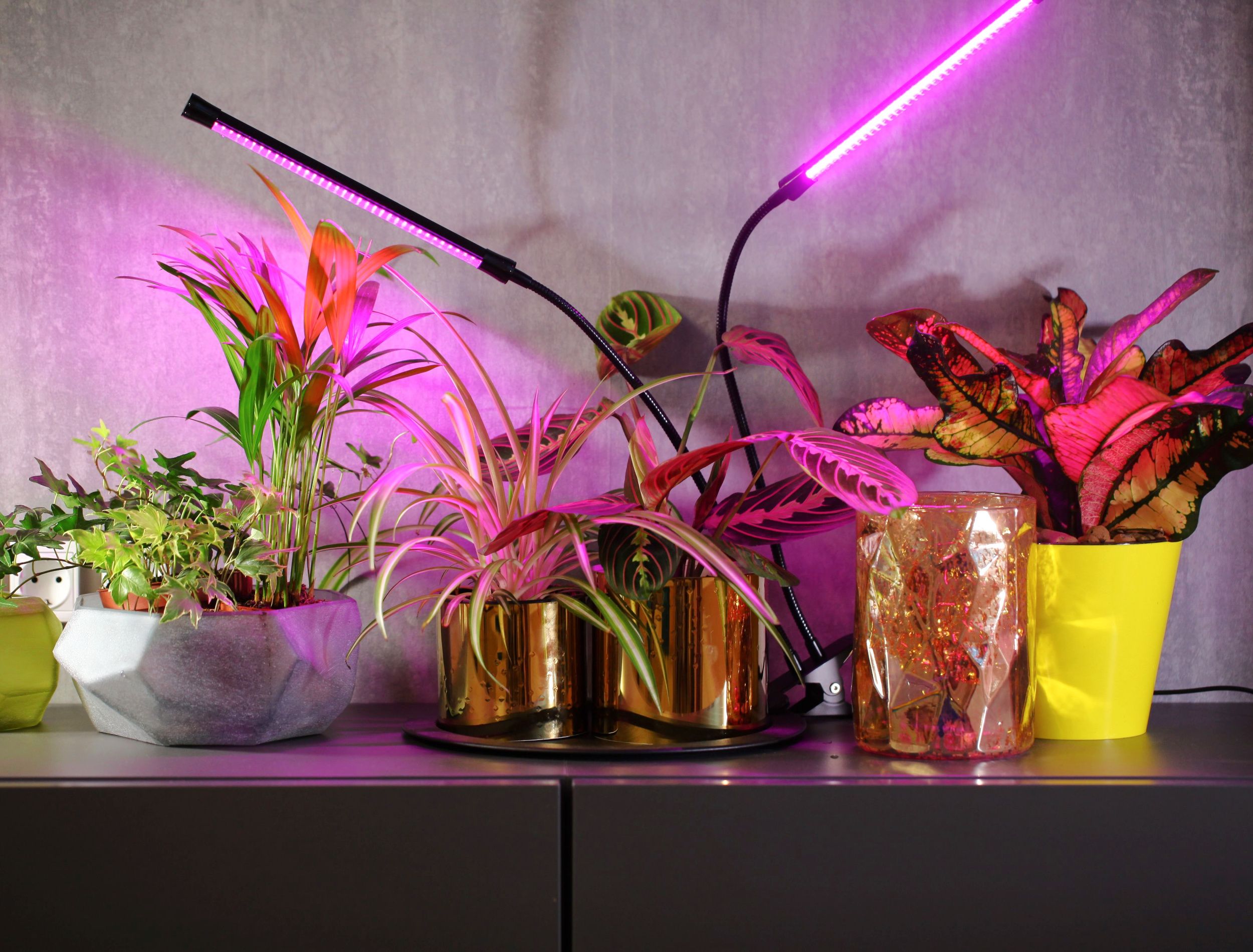 How to Choose the Best Grow Lights for Your Plants