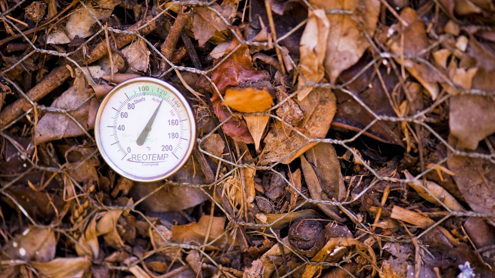 Can Compost Get Too Hot?