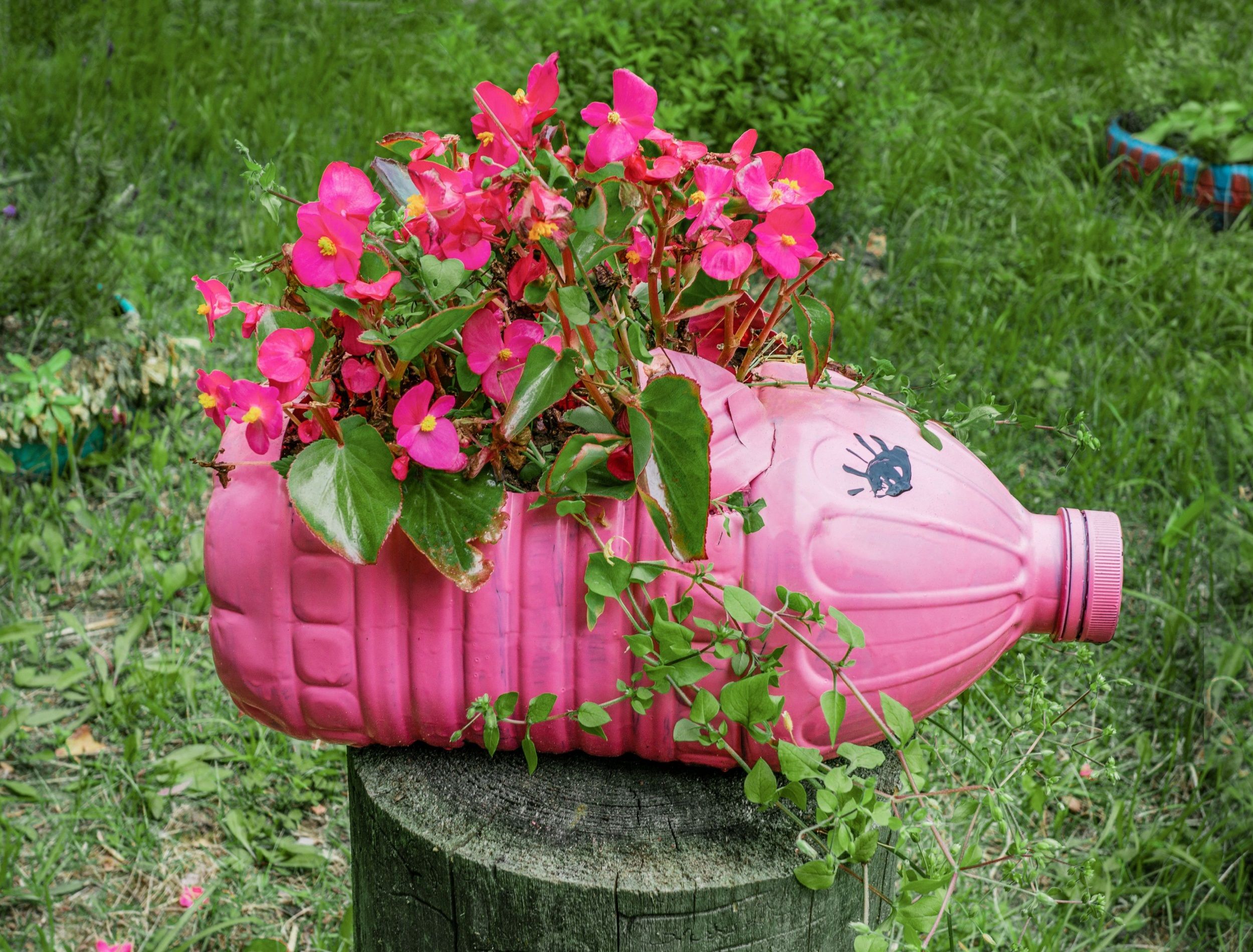 Are Plastic Containers Safe For Gardening?